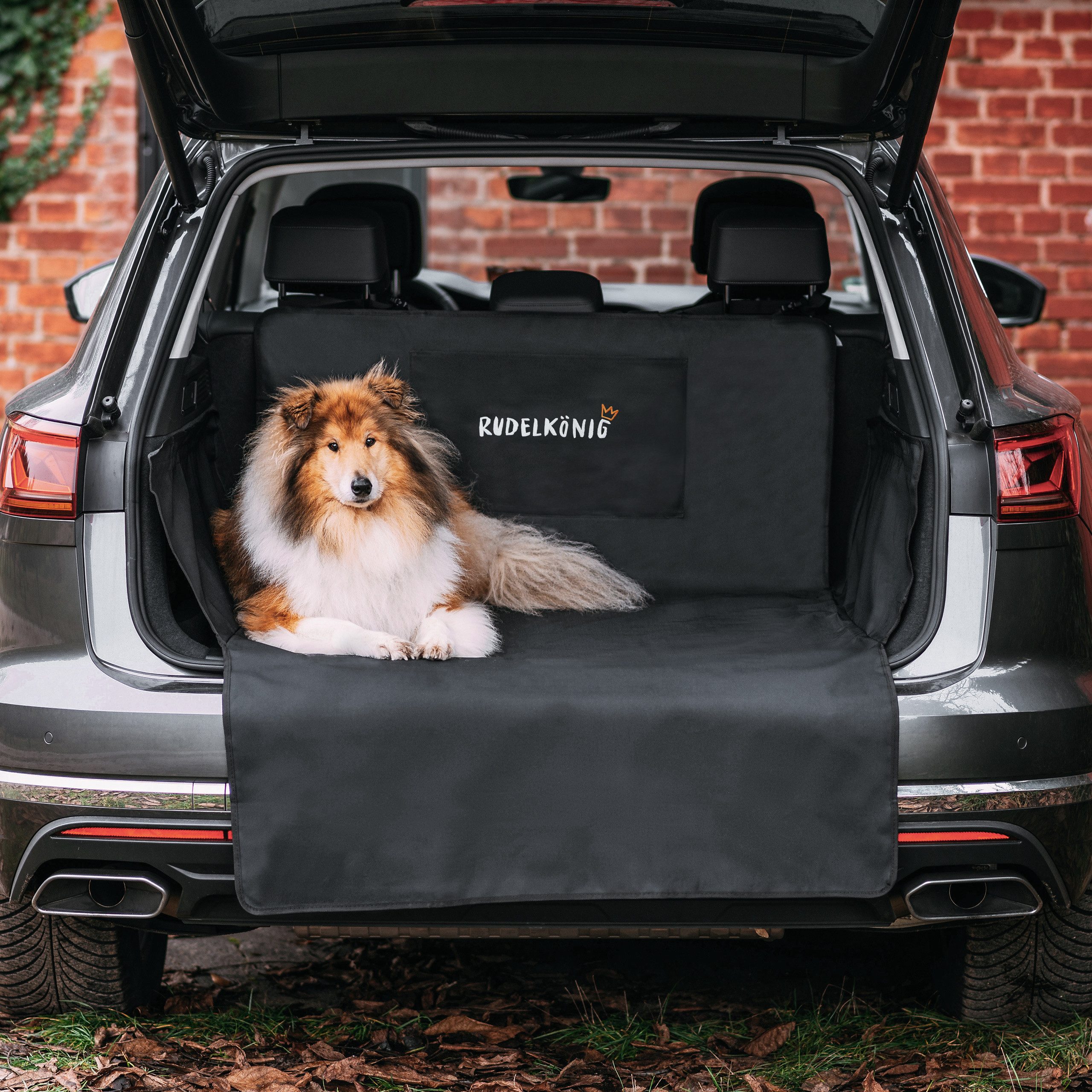 Rudelkönig Tier-Kofferraumschutzdecke Kofferraumschutz Hund mit Ladenkantenschutz Universal Hundedecke Auto, Schondecke wasserabweisend und kratzfest - 134x101x58cm