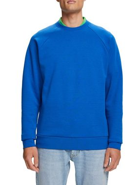 Esprit Collection Sweatshirt Klassisches Sweatshirt, Baumwollmix (1-tlg)