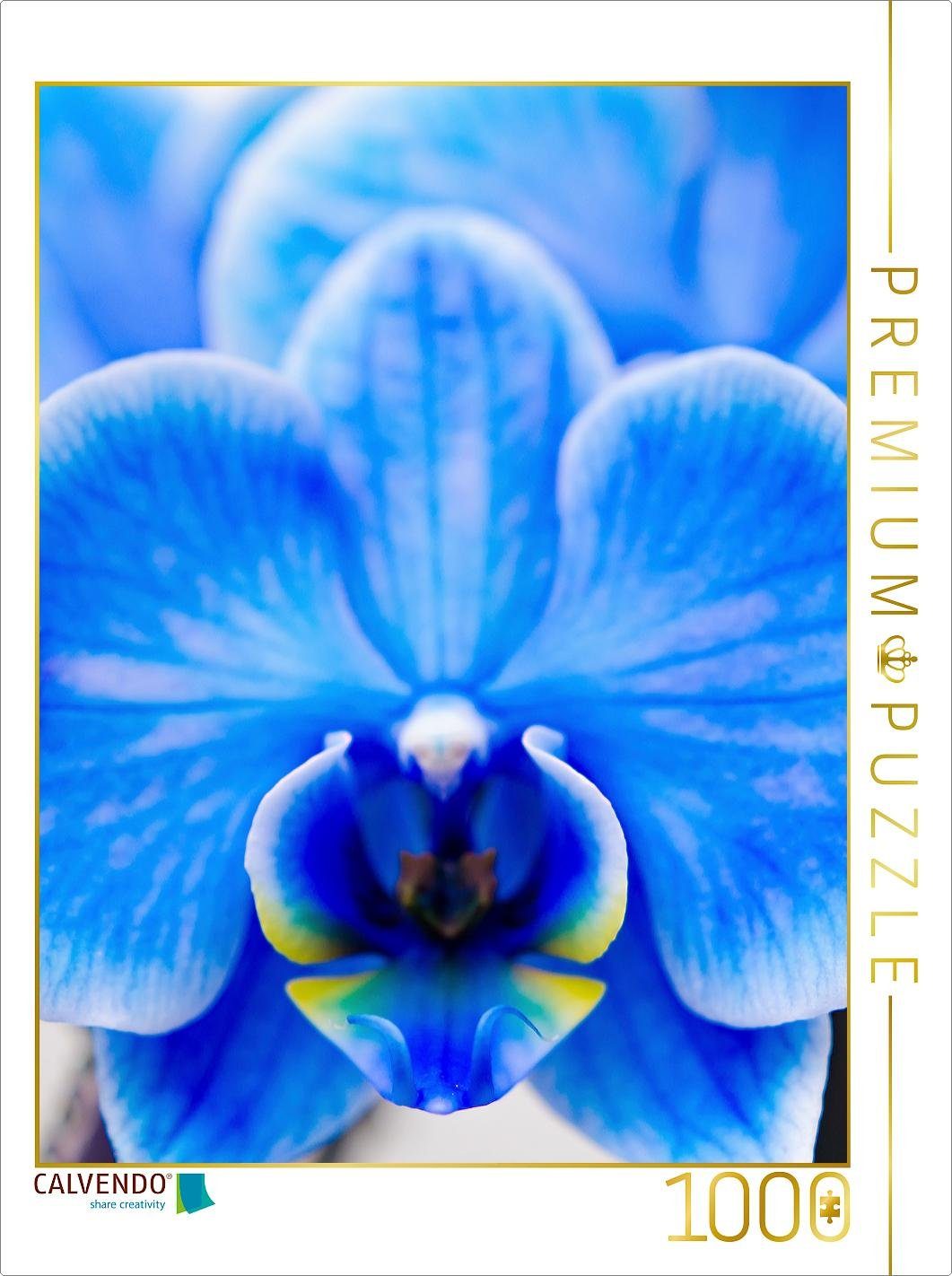 CALVENDO Puzzle CALVENDO Puzzle Blau Phalaenopsis 1000 Teile Lege-Größe 48 x 64 cm Foto-Puzzle Bild von Nina Schwarze, 1000 Puzzleteile