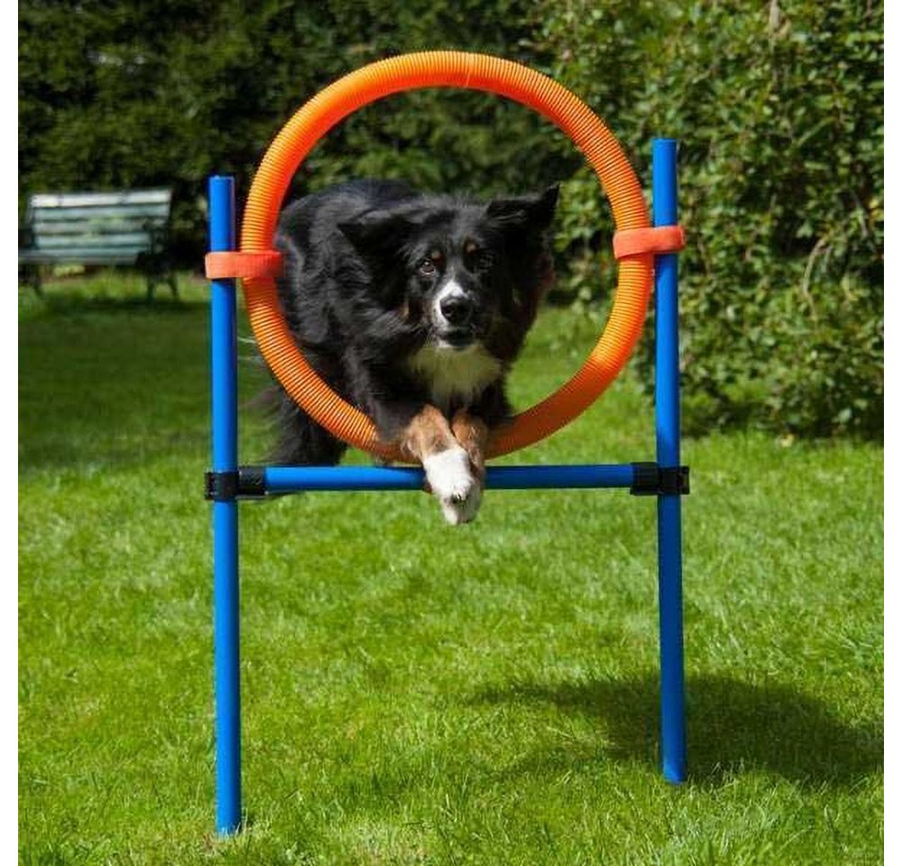 Thumbnail - Procyon Agility-Hürde Dog Agility Set K2