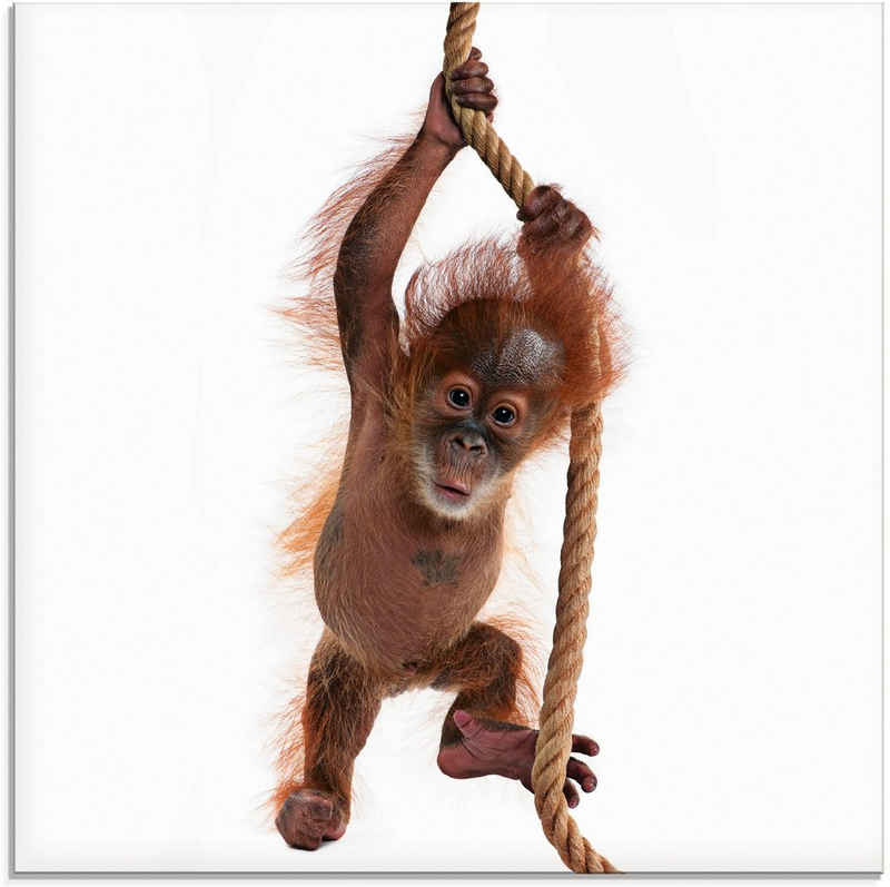 Artland Glasbild Baby Orang Utan hängt am Seil I, Wildtiere (1 St), in verschiedenen Größen