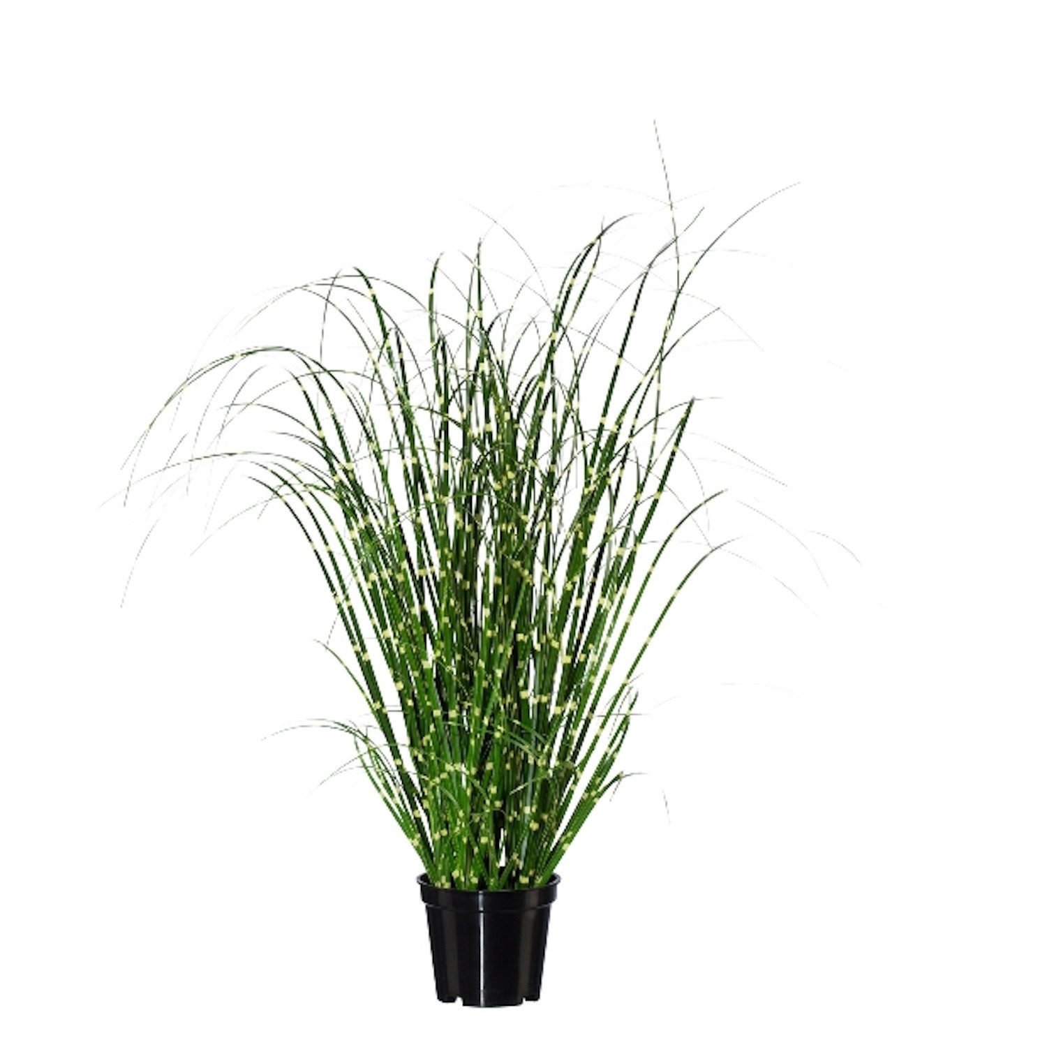 Kunstgras, Gasper, Höhe 42 cm günstig online kaufen