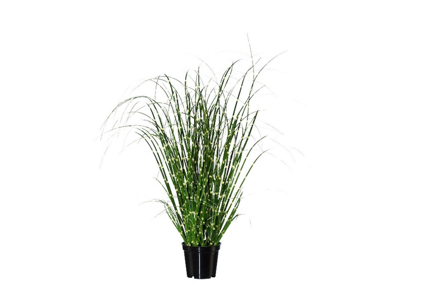 Künstliche Zimmerpflanze Gras, Gasper, Höhe 42 cm, Farbe: Grün, Höhe: 42cm