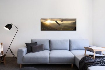 möbel-direkt.de Leinwandbild Bilder XXL Adler im Gebirge Wandbild auf Leinwand