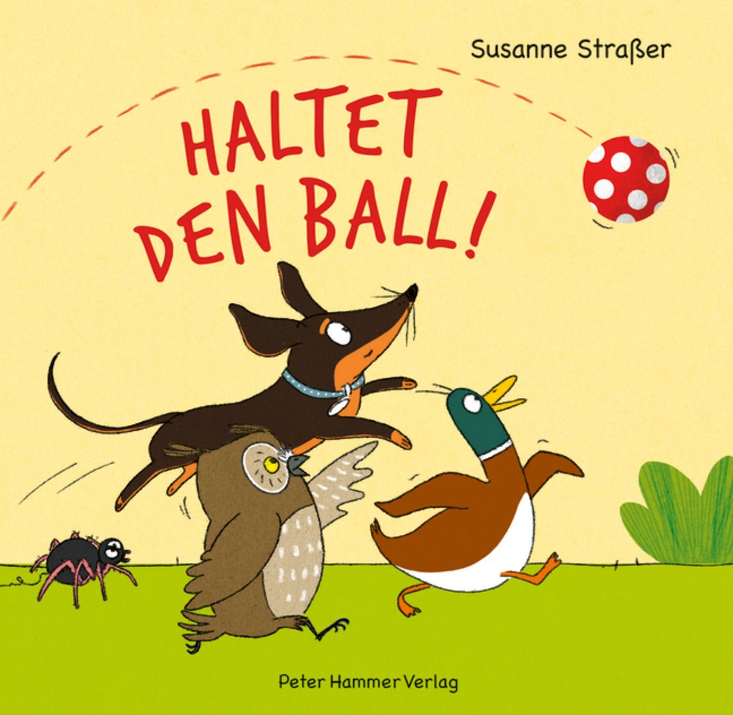 Haltet den Ball! / Susanne Strasser