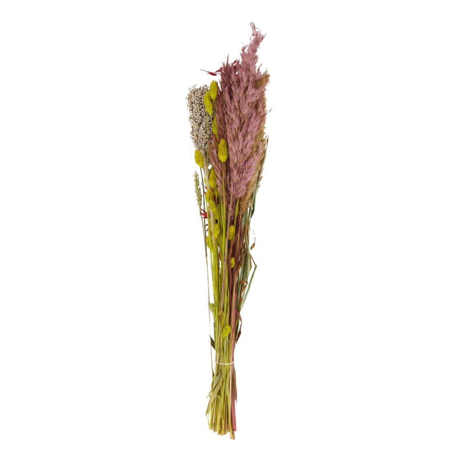 Trockenblume Getrockneter Blumenstrauß rosa/grün - dried flower bouquet, DIJK