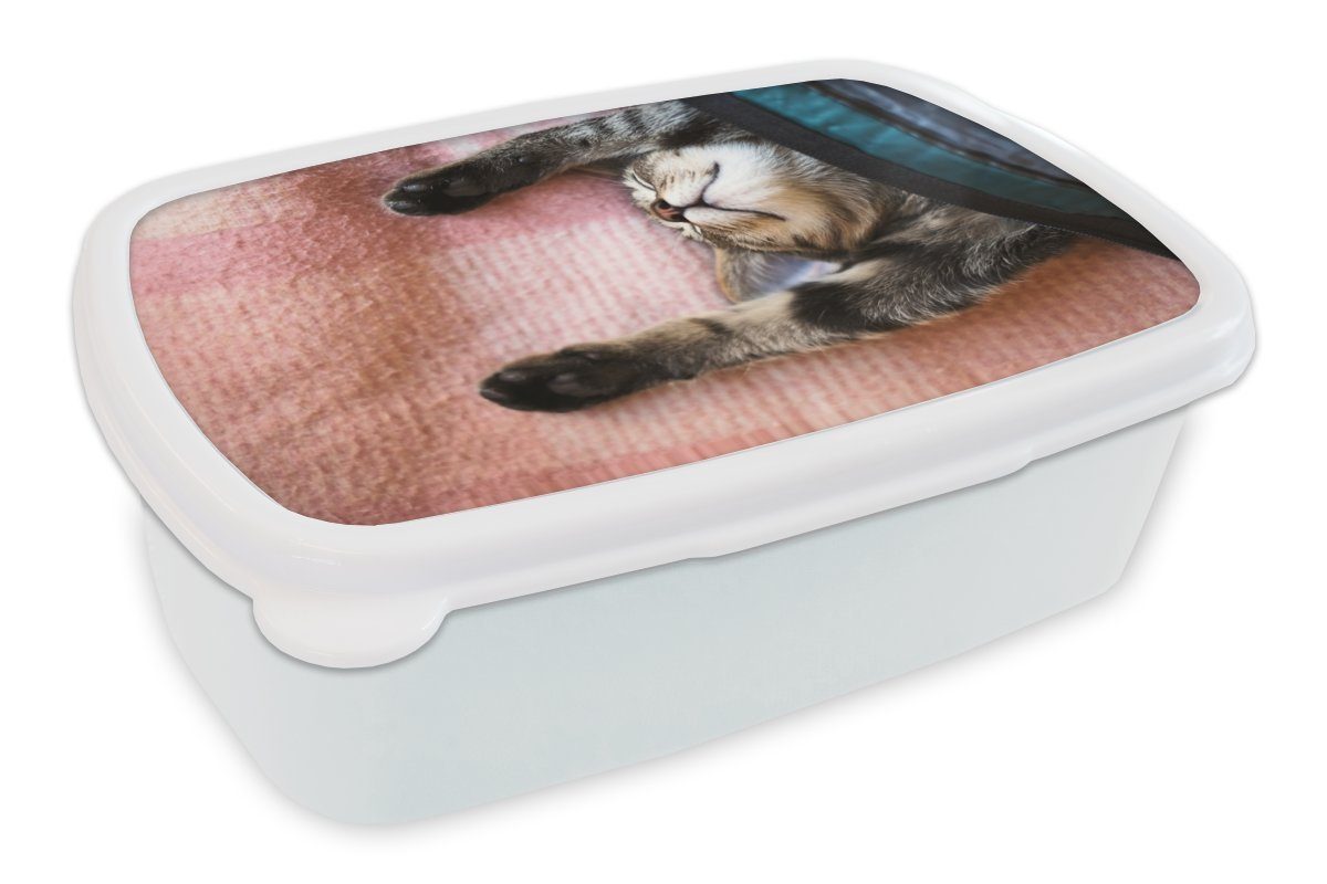 Jungs einem auf Katze Brotbox für Erwachsene, Lunchbox und Schlafende weiß Mädchen (2-tlg), Brotdose, und Kunststoff, für Teppich, MuchoWow Kinder