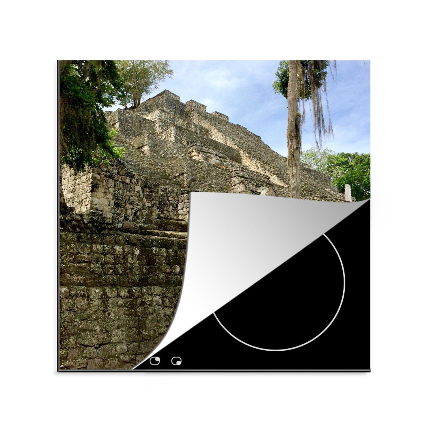 MuchoWow Herdblende-/Abdeckplatte Schöner (1 des Ceranfeldabdeckung, Calakmul, Stufen in Vinyl, küche Baum Maya-Tempels den tlg), cm, auf Arbeitsplatte 78x78 für