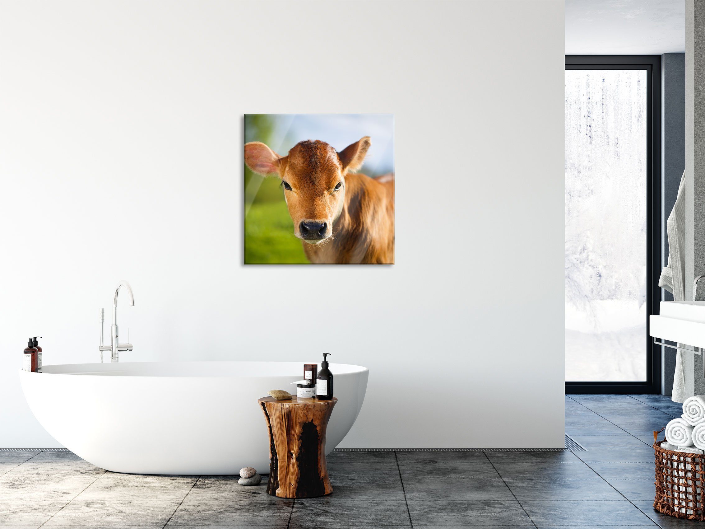 Pixxprint Glasbild Junge Kuh (1 aus Aufhängungen Kälbchen, Glasbild Abstandshalter Kuh und inkl. Junge St), Kälbchen Echtglas