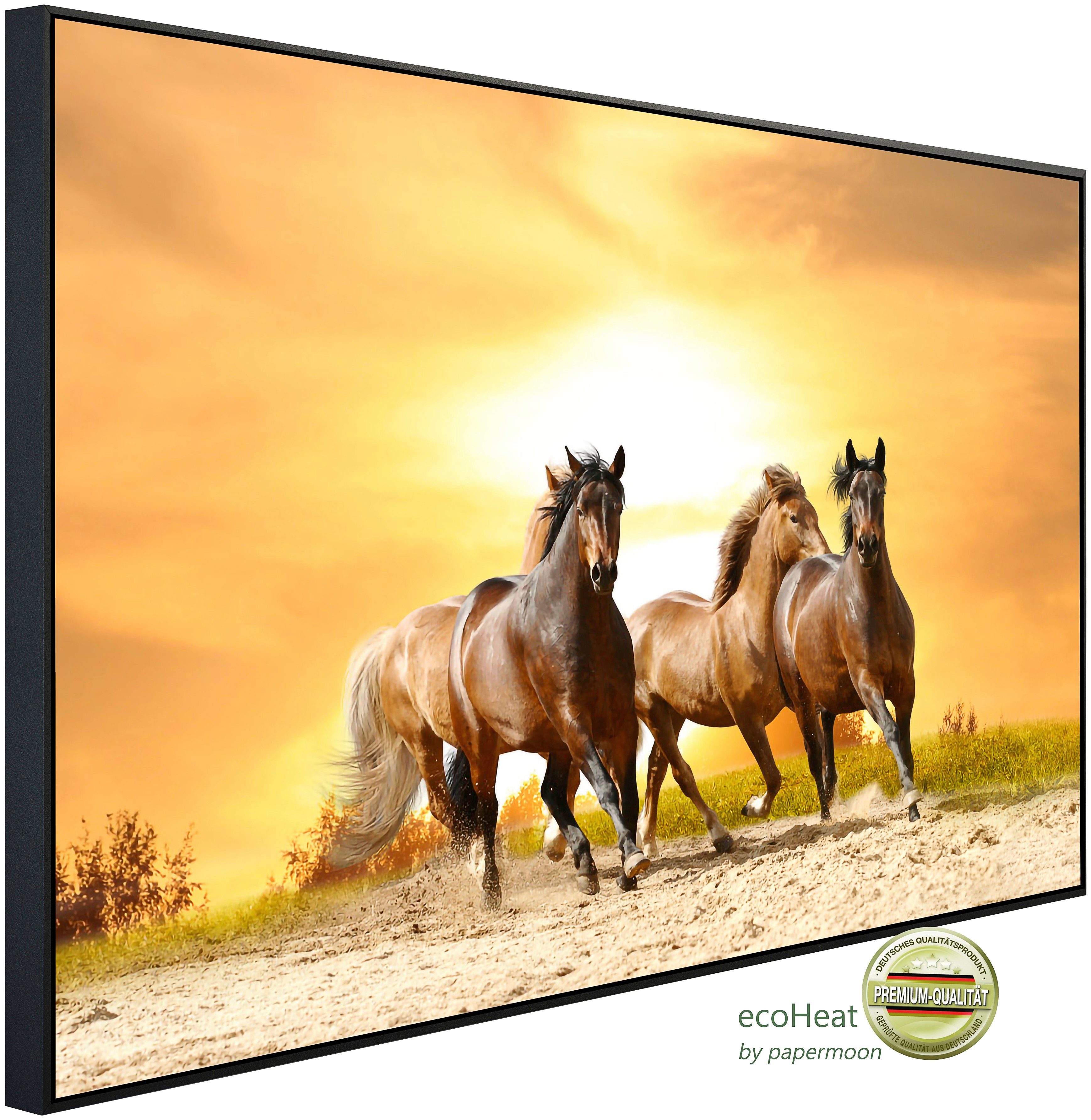 Infrarotheizung Pferde laufen im Sonnenuntergang