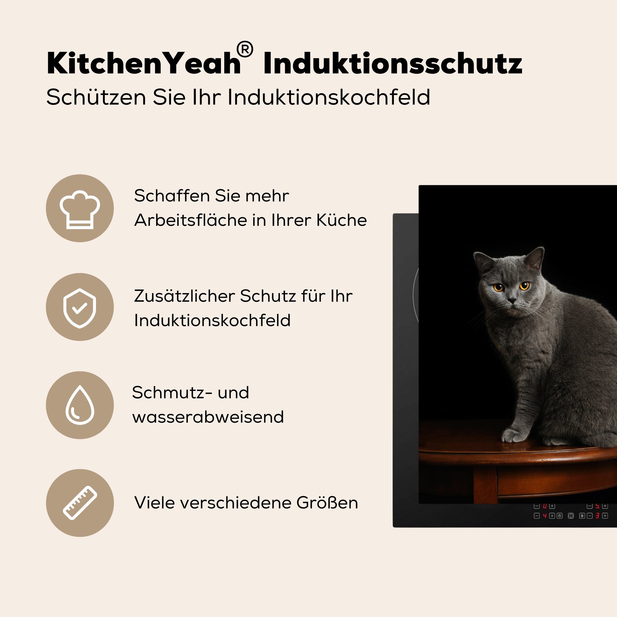 tlg), die für cm, Ceranfeldabdeckung Britisch-Kurzhaar-Katze, einer Induktionsmatte küche, 59x52 Vinyl, Porträt Herdblende-/Abdeckplatte MuchoWow (1