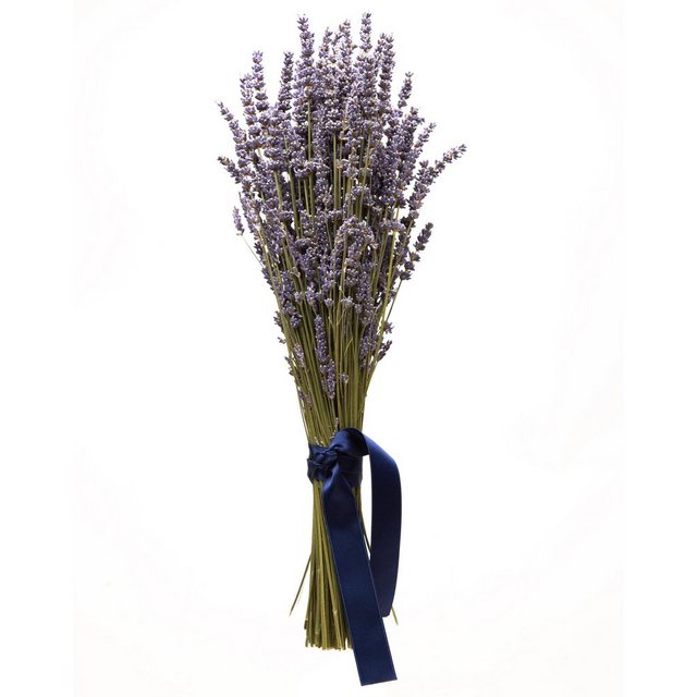 Trockenblume Echter Lavendel getrocknet Lavendelstrauß Deko Lavendelbund Ernte 2022 Lavendel, ROSEMARIE SCHULZ Heidelberg, Höhe 40 cm, französischer Lavendel aus der Provence auch für Lavendelsäckchen