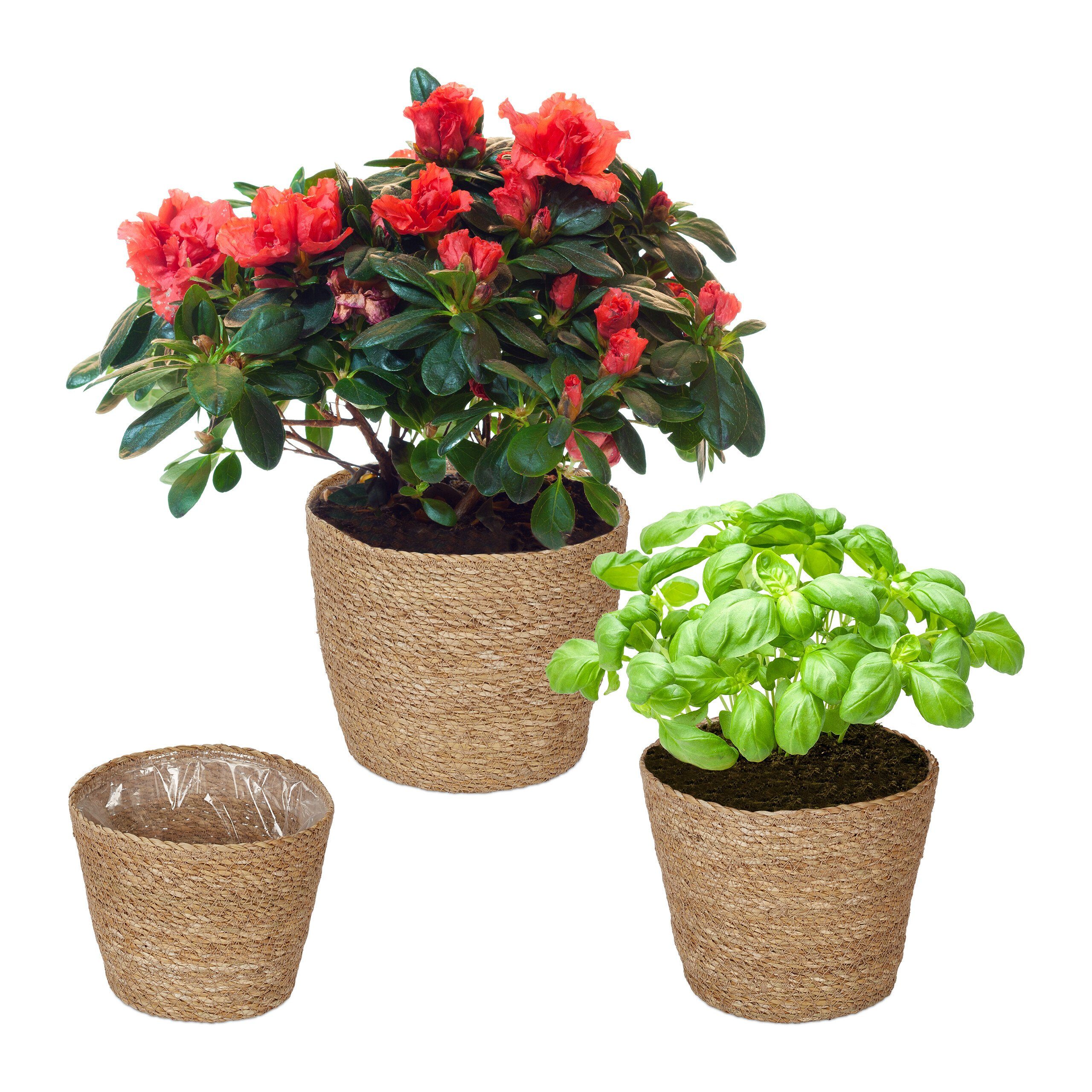 Blumentopf Seegras Blumentopf 3er Set