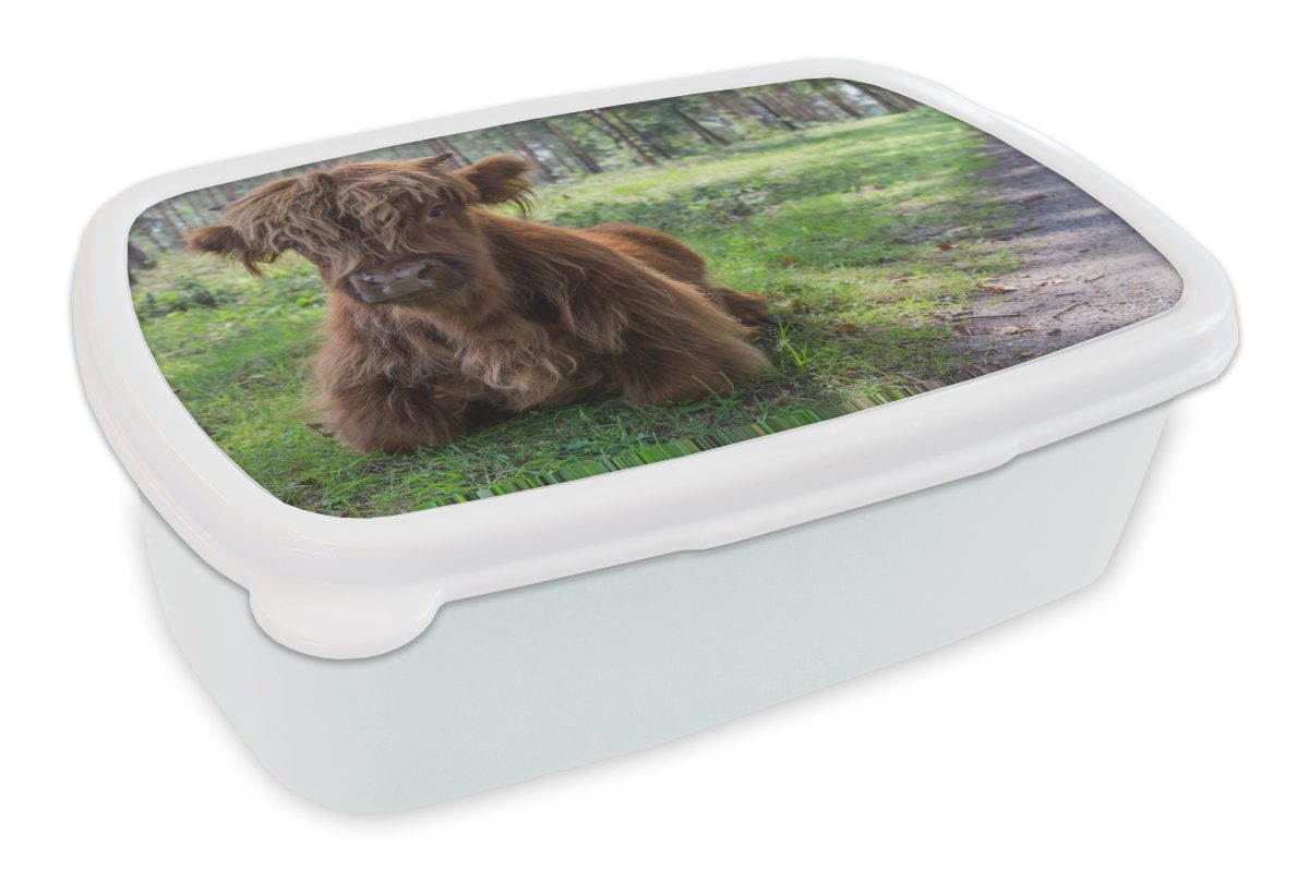 MuchoWow Lunchbox Schottischer Highlander - Kröte - Tiere, Kunststoff, (2-tlg), Brotbox für Kinder und Erwachsene, Brotdose, für Jungs und Mädchen weiß