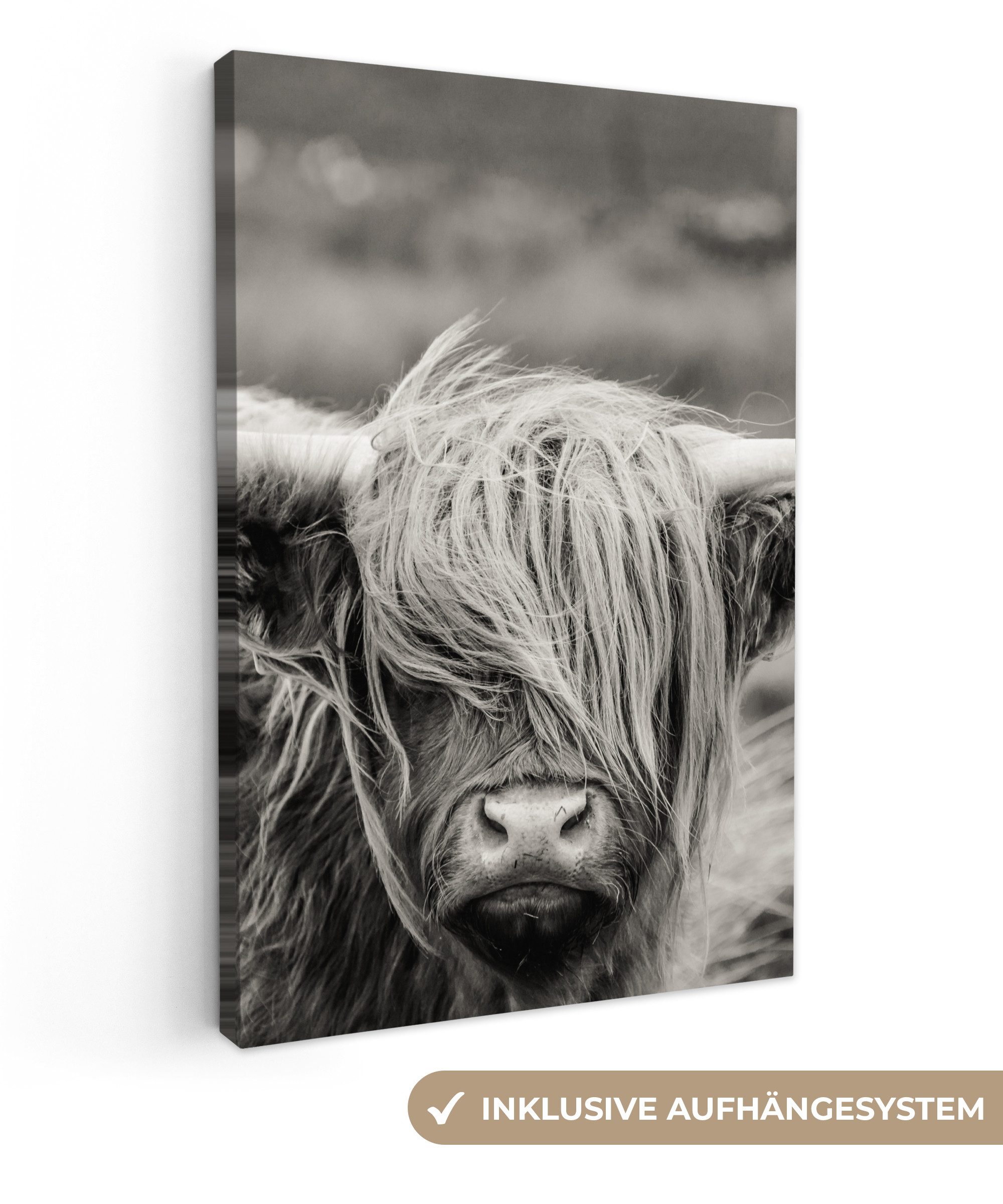 OneMillionCanvasses® Leinwandbild Schottischer Highlander - Kuh - Tiere - Schwarz-Weiß - Ländlich, Fotodruck (1 St), Leinwand Canvas Wandbild, Wanddekoration 20x30 cm
