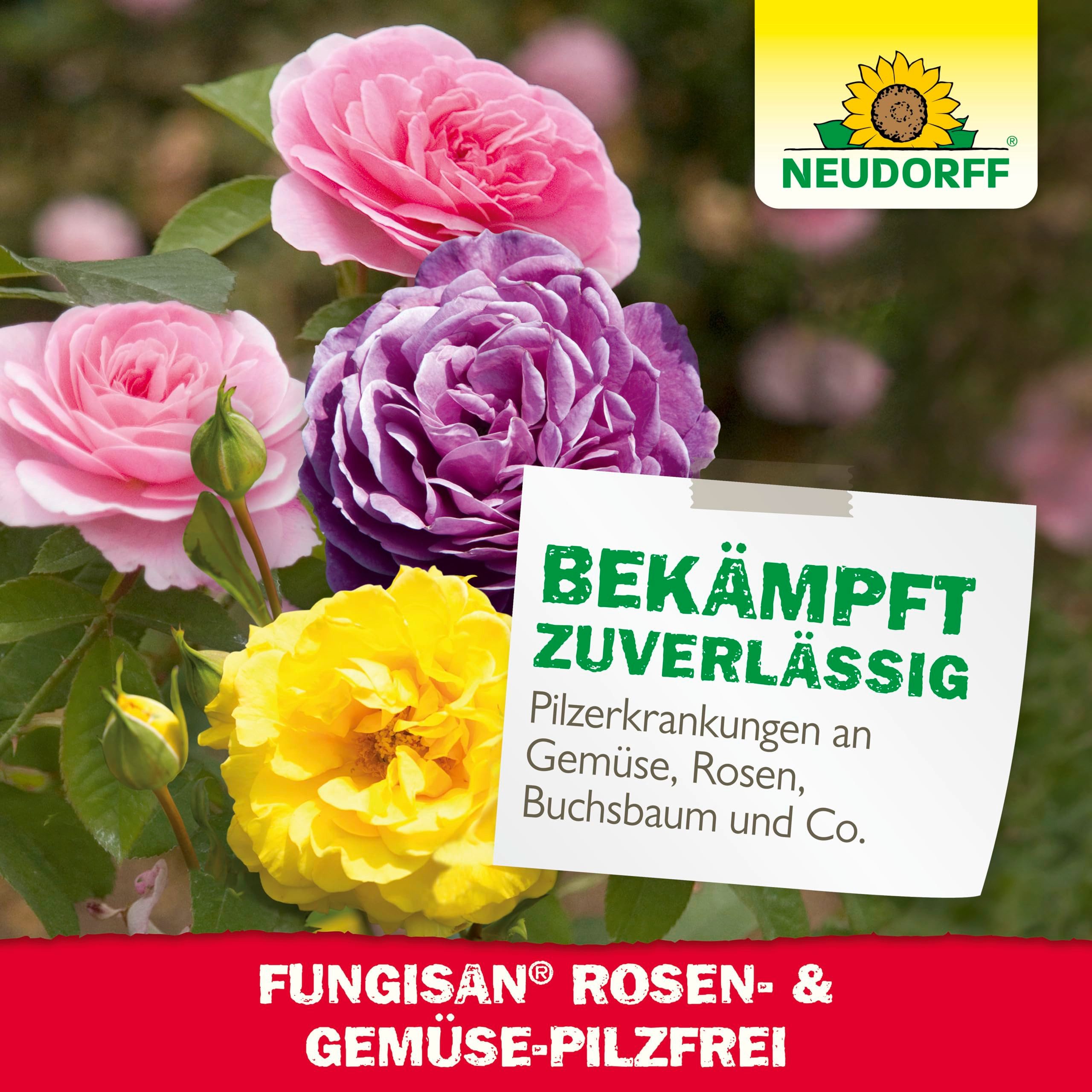 Neudorff Pflanzen-Pilzfrei Fungisan Rosen- und Gemüse-Pilzfrei 16 ml, 0.16 l, Konzentrat bekämpft Pilzkrankheiten wie Rosenrost oder Mehltau, geeignet für Rosen, Gemüse und Zierpflanzen