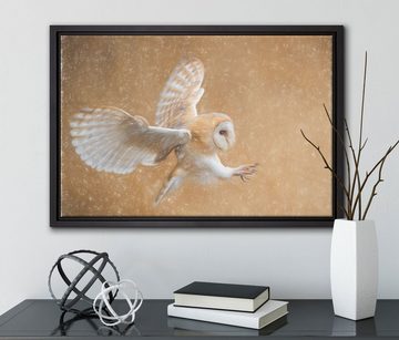 Pixxprint Leinwandbild Fliegende Weiße Eule bei der Jagd, Wanddekoration (1 St), Leinwandbild fertig bespannt, in einem Schattenfugen-Bilderrahmen gefasst, inkl. Zackenaufhänger