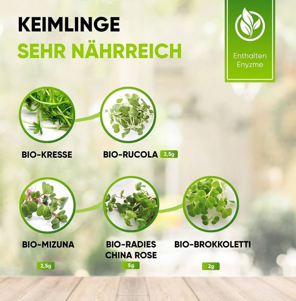 OraGarden Anzuchttopf Grüne Fee Sprossen Anzuchtset “Bio Microgreens” (1 St) – Bild 3 von 5