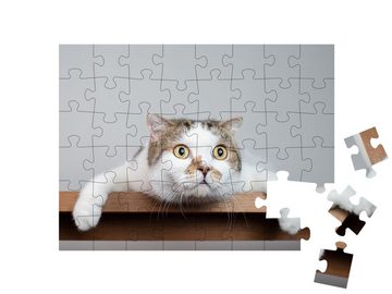 puzzleYOU Puzzle Eine überraschte Katze, 48 Puzzleteile, puzzleYOU-Kollektionen Katzen-Puzzles