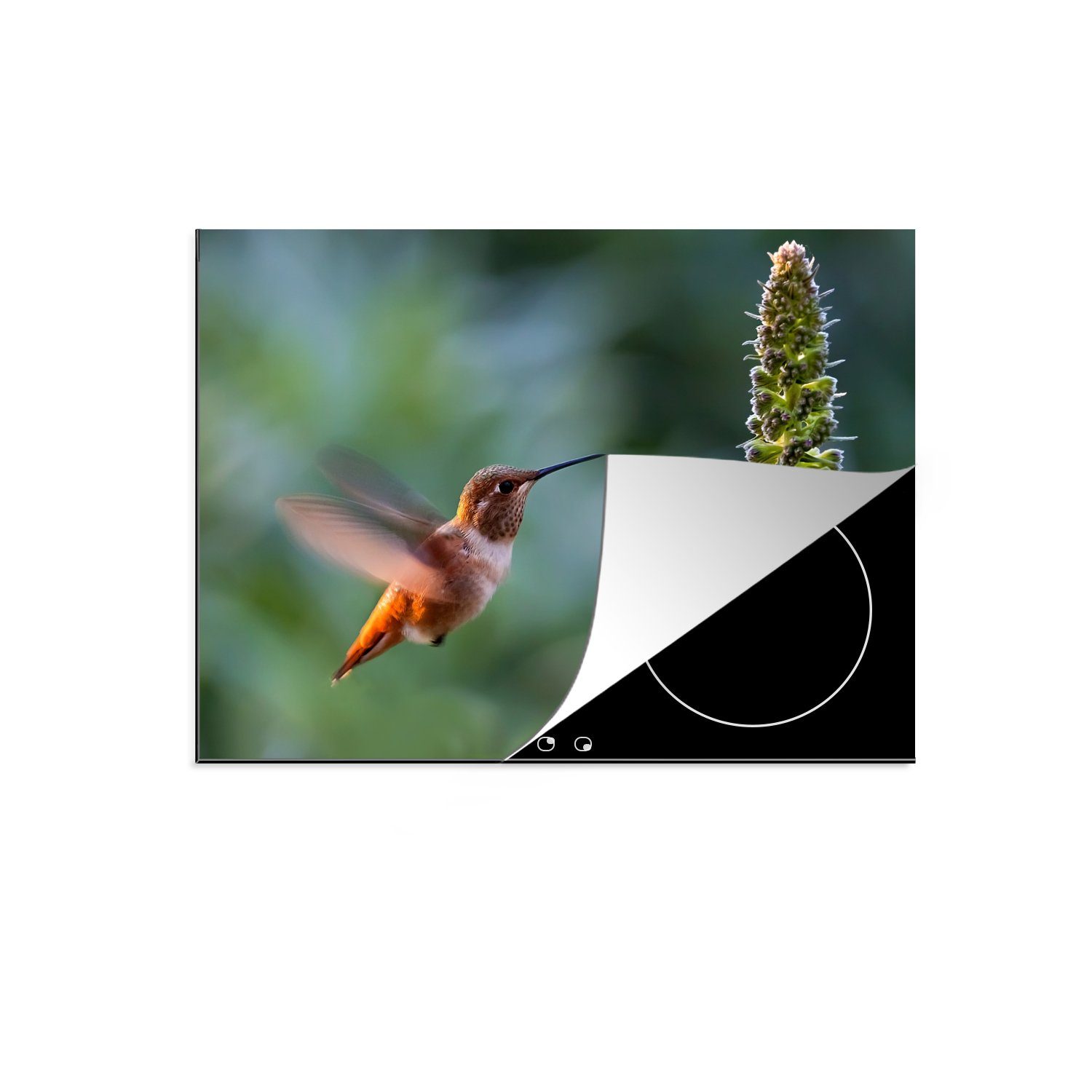 MuchoWow Herdblende-/Abdeckplatte Vogel - Kolibri - Blume, Vinyl, (1 tlg), 71x52 cm, Induktionskochfeld Schutz für die küche, Ceranfeldabdeckung