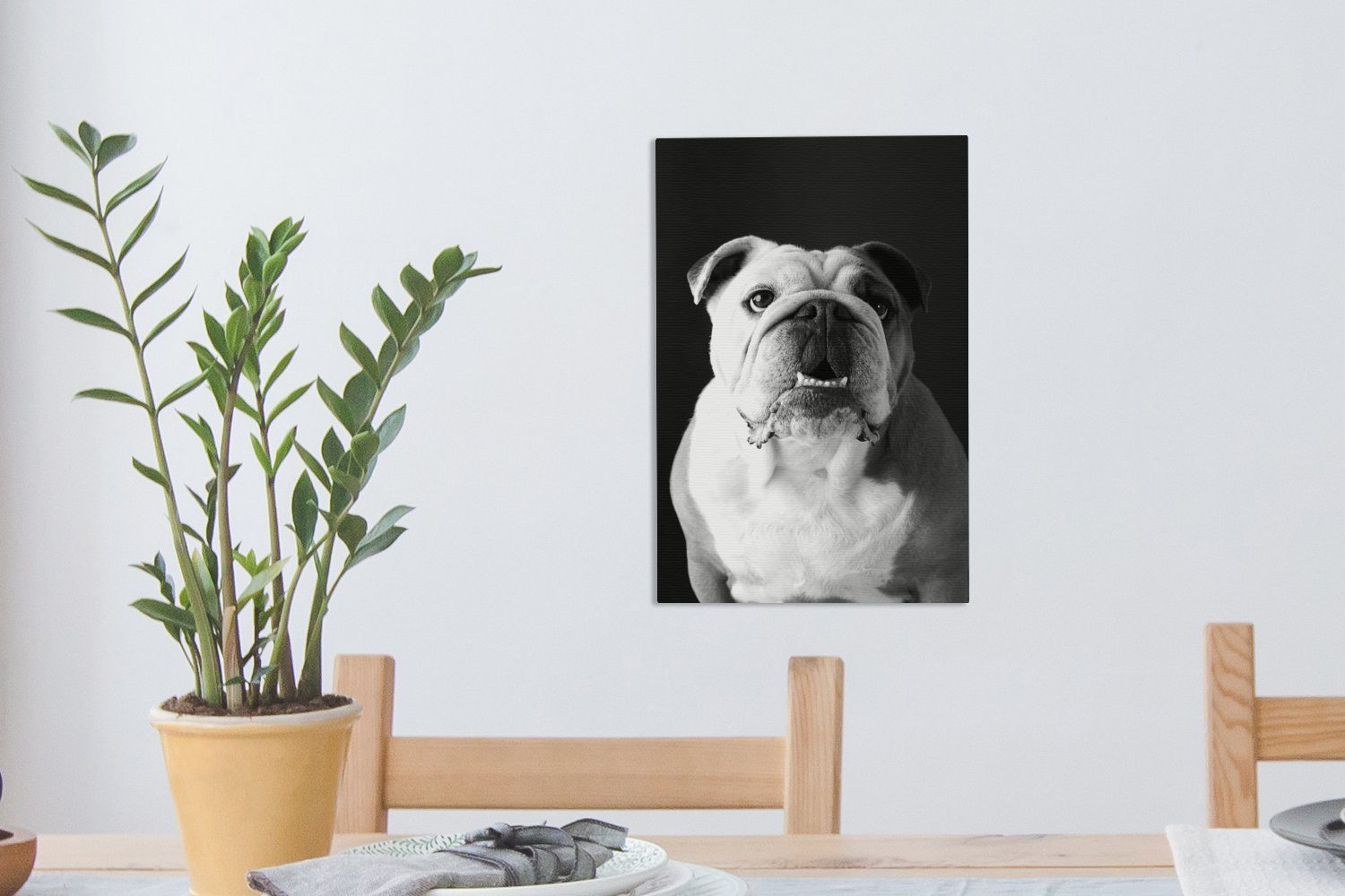 OneMillionCanvasses® Leinwandbild einer fertig inkl. - Zackenaufhänger, 20x30 Englischen Leinwandbild schwarz Porträt bespannt Bulldogge St), Gemälde, (1 cm und weiß