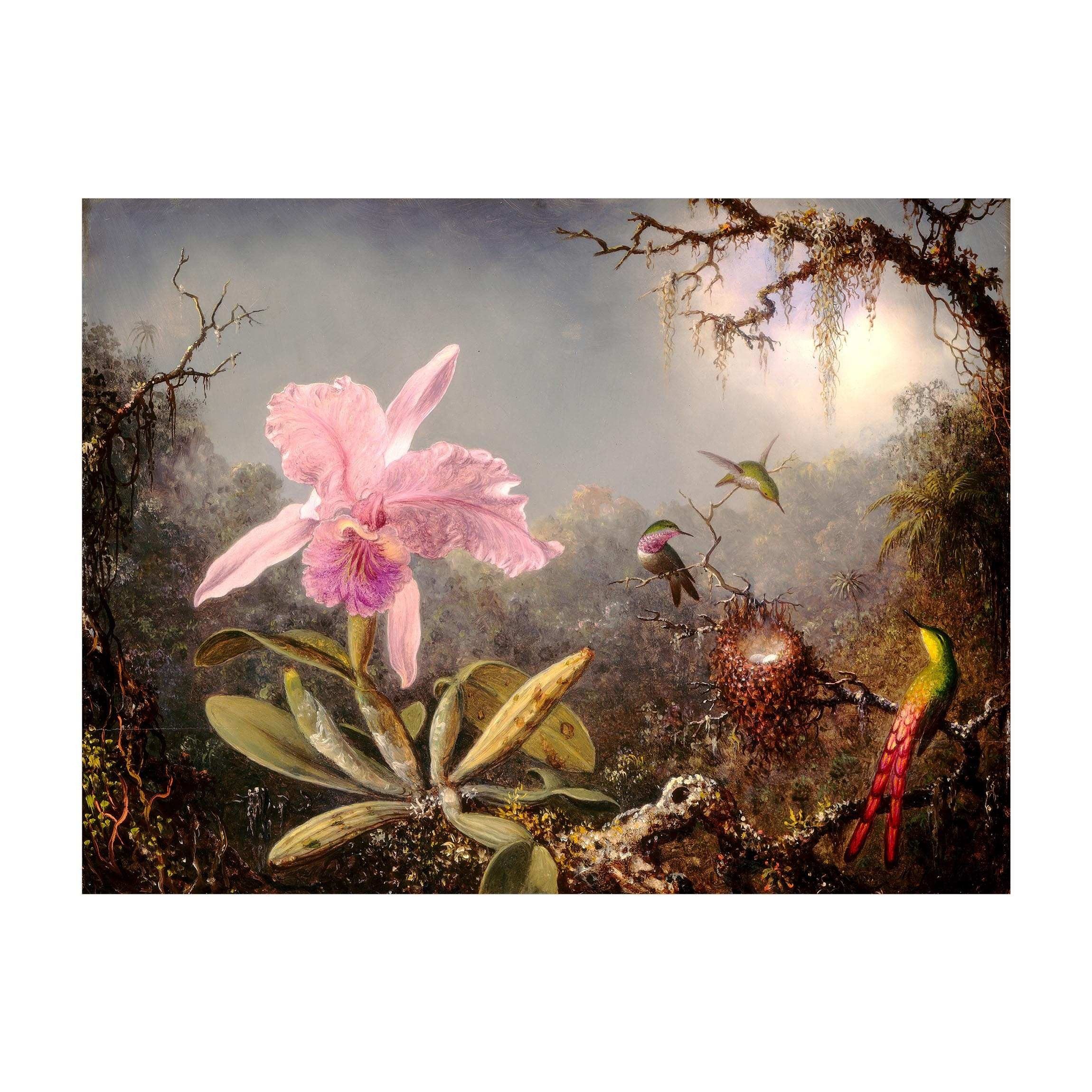 Bilderdepot24 Teppich Vinyl Wohnzimmer Schlafzimmer Flur Küche Tiere Vintage, rechteckig - rosa glatt, nass wischbar (Küche, Tierhaare) - Saugroboter & Bodenheizung geeignet