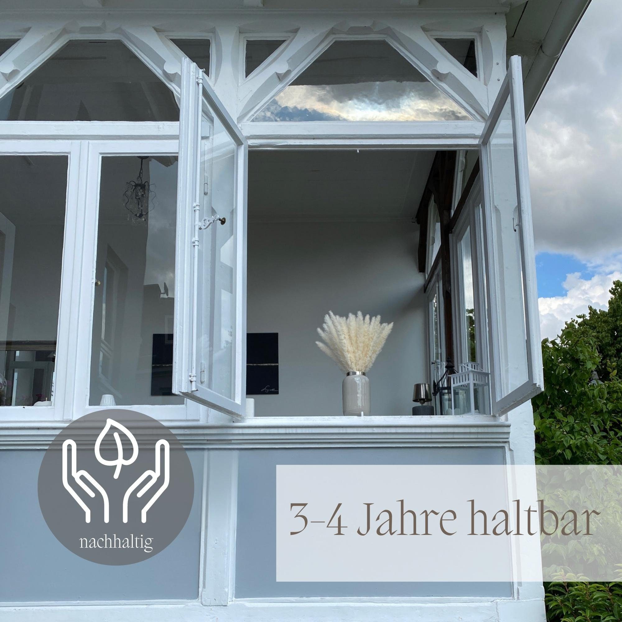 Trockenblume Trockenblume Pampasgras Deko weiß 45cm lang Trockenblumen, Nin günstig online kaufen