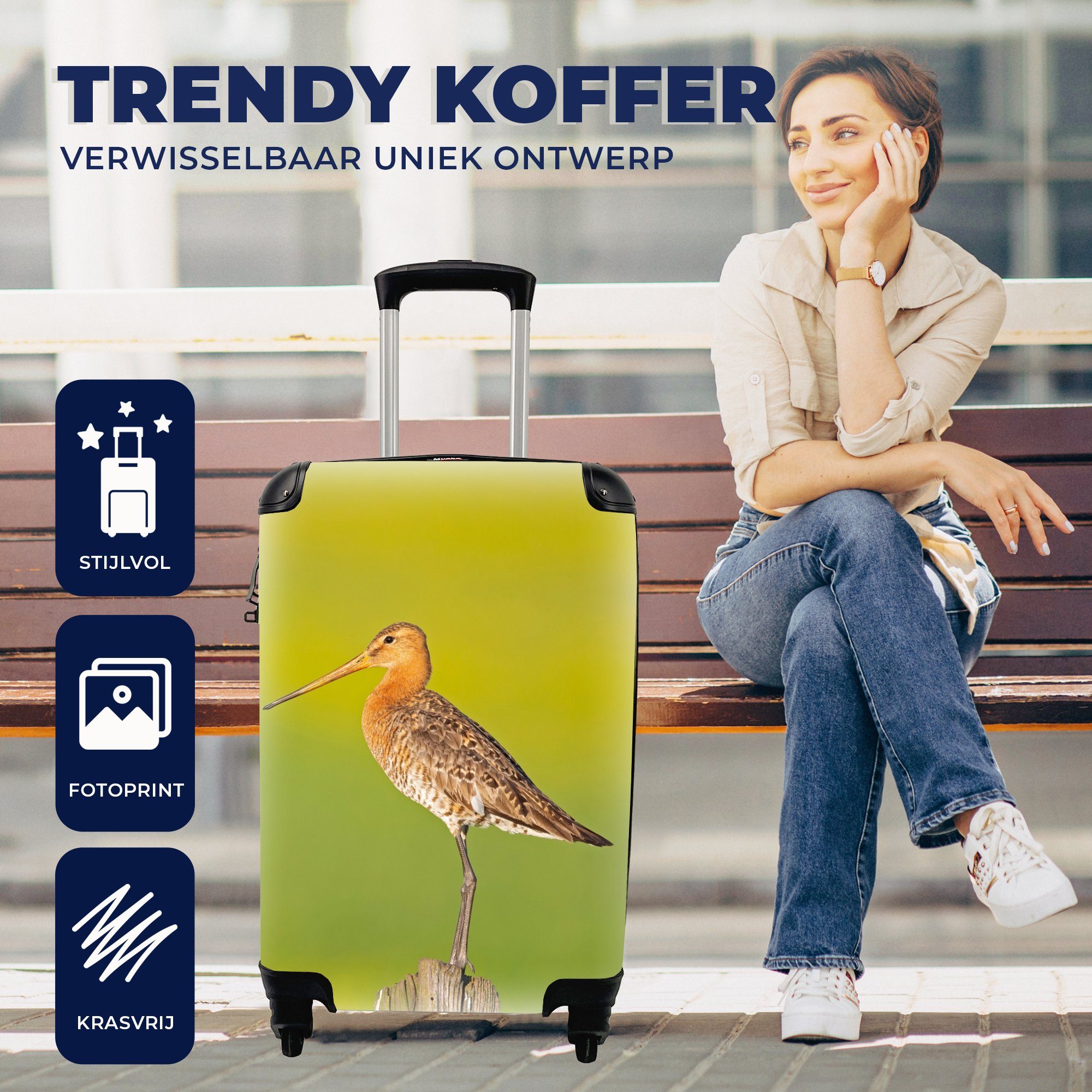 Trolley, Pfahl für Handgepäckkoffer Reisekoffer - rollen, Handgepäck Grün, Vogel - Uferschnepfe - 4 Tiere mit Rollen, MuchoWow Ferien, - Reisetasche