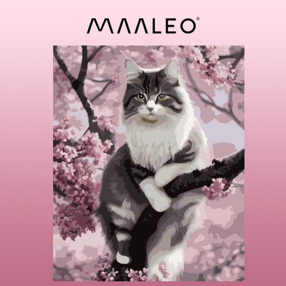 MAALEO Malen nach Zahlen Leinwand Malset Katze (Spar-Set, Nummerierung der Felder), Entspannung, für kreative Freizeit oder gemeinsames Malen