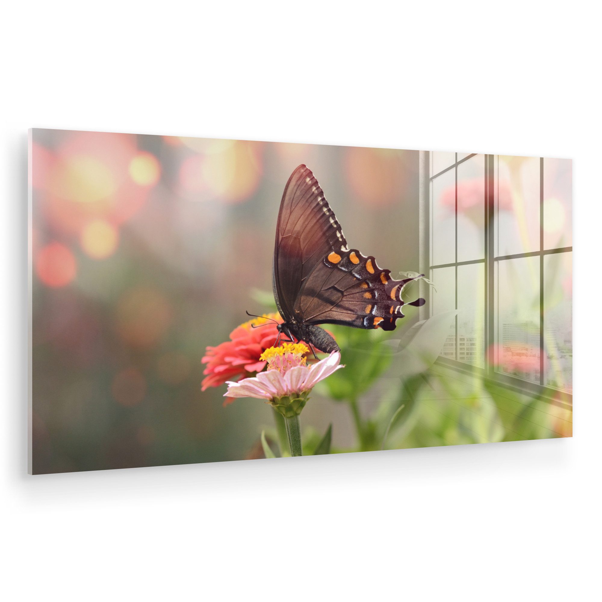 MuchoWow Acrylglasbild Blumen - Schmetterling - günstig online kaufen