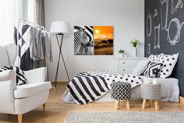 Sinus Art Leinwandbild 2 Bilder je 60x90cm Afrika Zebras Elefanten Süß Niedlich Wildnis Sonne