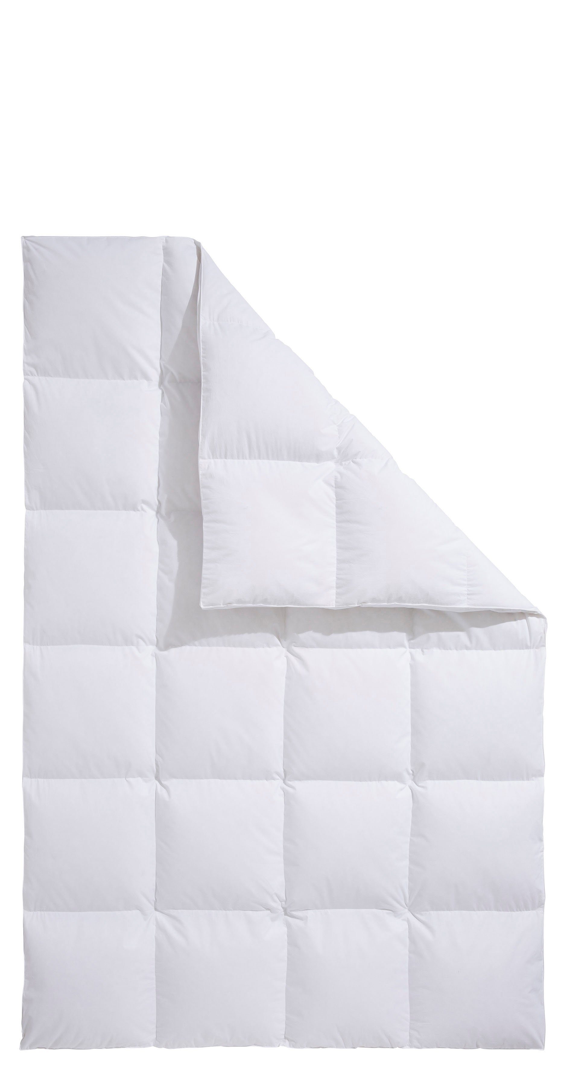 Älgdröm Daunenbettdecke Loftet, Bettdecke 135x200, 155x220 günstig online kaufen