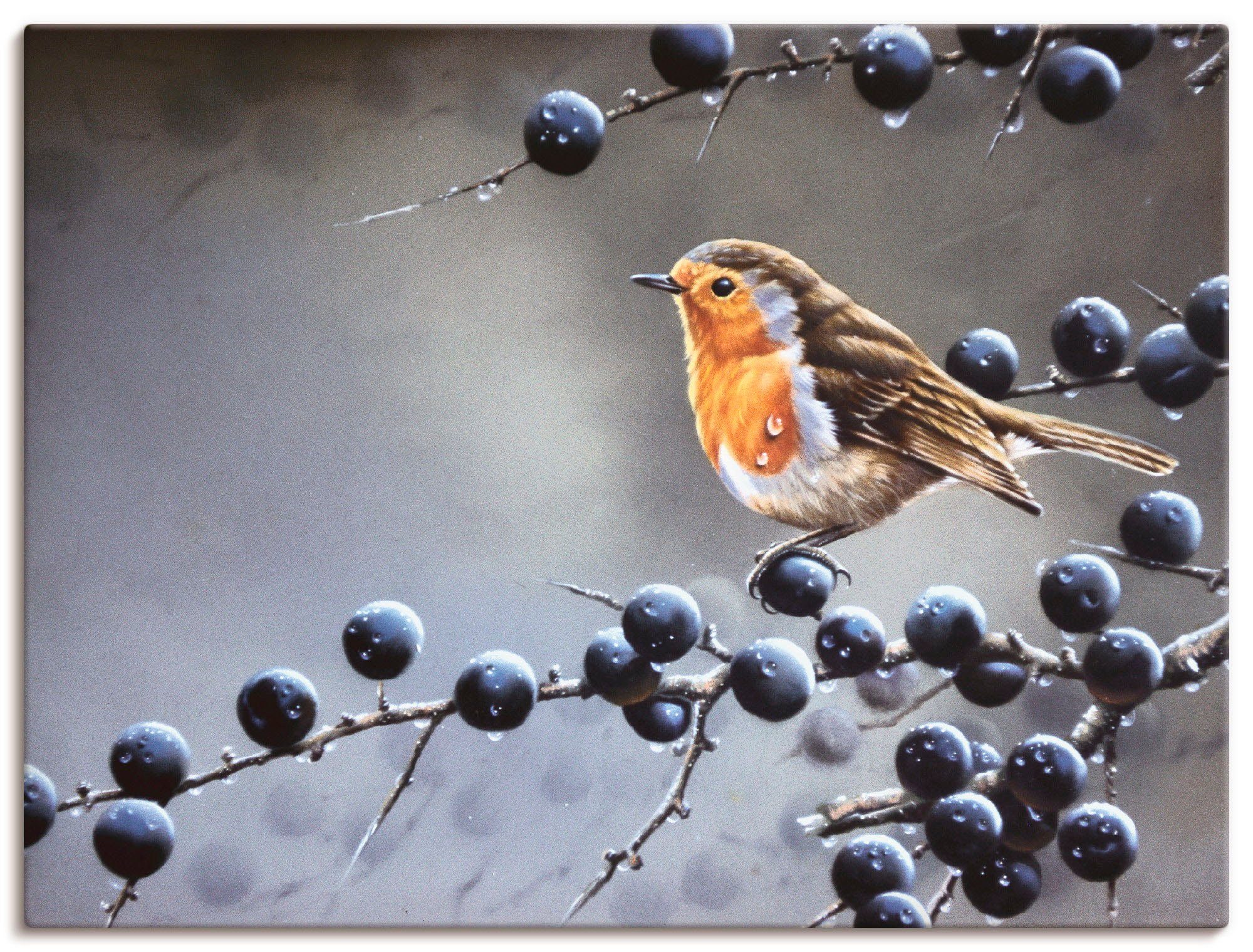Artland Wandbild Vogel im Beerenbaum, Vögel (1 St), als Leinwandbild, Wandaufkleber oder Poster in versch. Größen