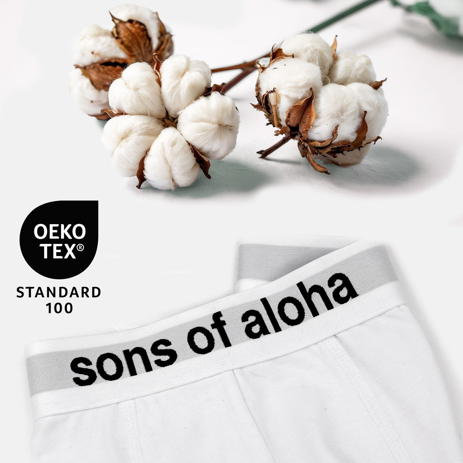 SONS OF ALOHA Boxer Boxershorts SONS OF ALOHA Boxershorts, Unterhose für Mä günstig online kaufen
