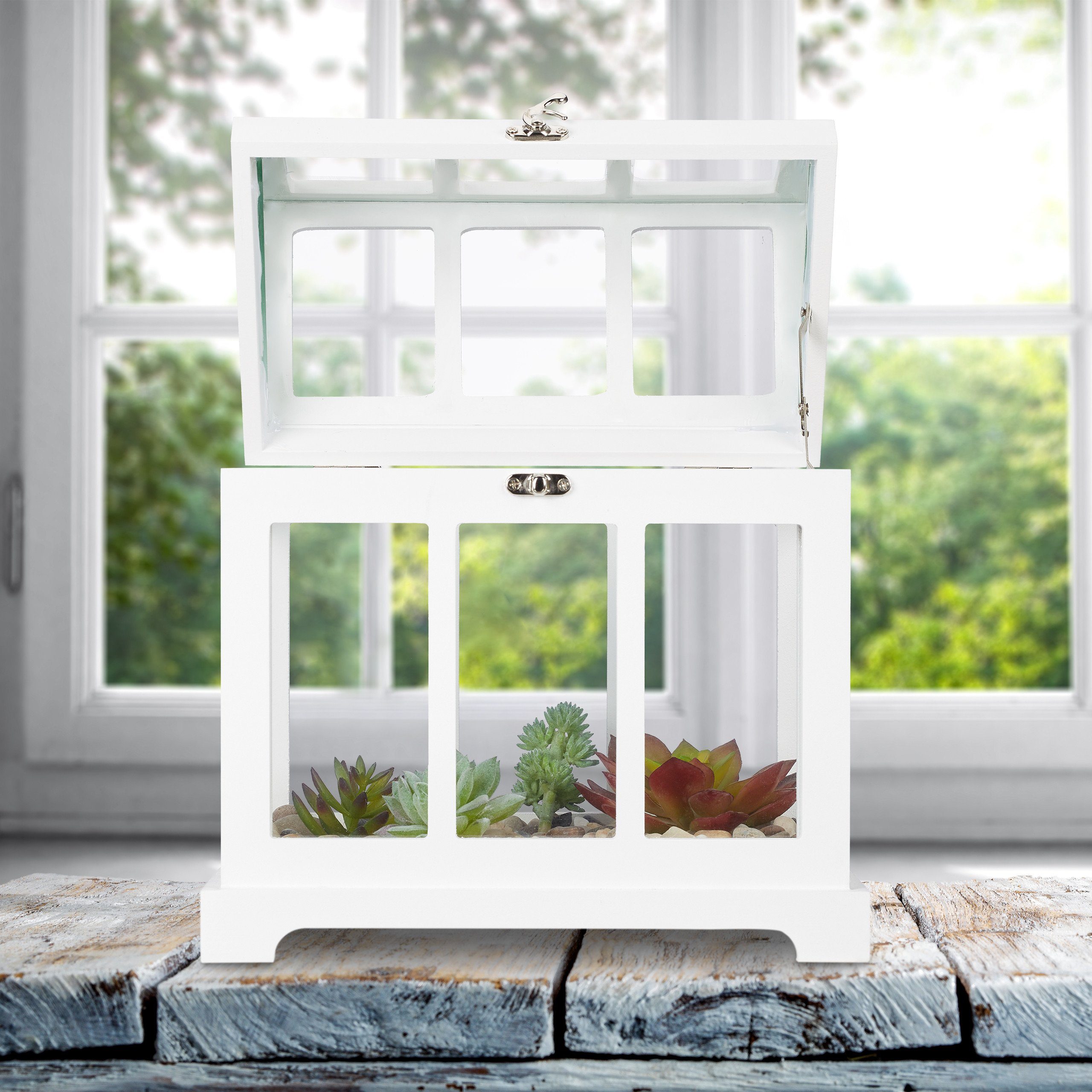 relaxdays Gewächshaus Mini Gewächshaus 2er Set günstig online kaufen