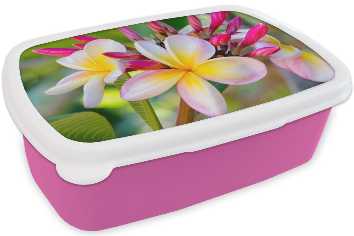 Kinder, Kunststoff Snackbox, Kunststoff, Lunchbox für Brotdose Erwachsene, Mädchen, Brotbox (2-tlg), MuchoWow - Plumeria rosa - Farben, Blumen
