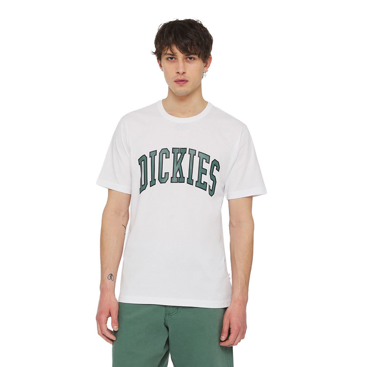 Dickies T-Shirt Aitkin (1-tlg., kein Set)