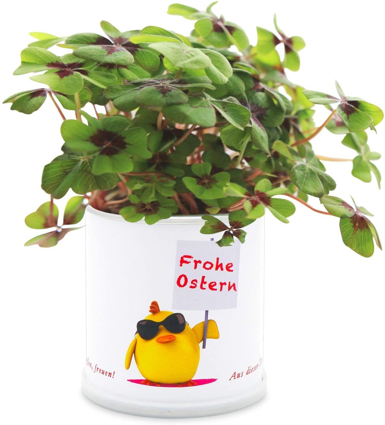 MacFlowers® Anzuchttopf Frohe Ostern Blumengrüße Ostergrüße günstig online kaufen