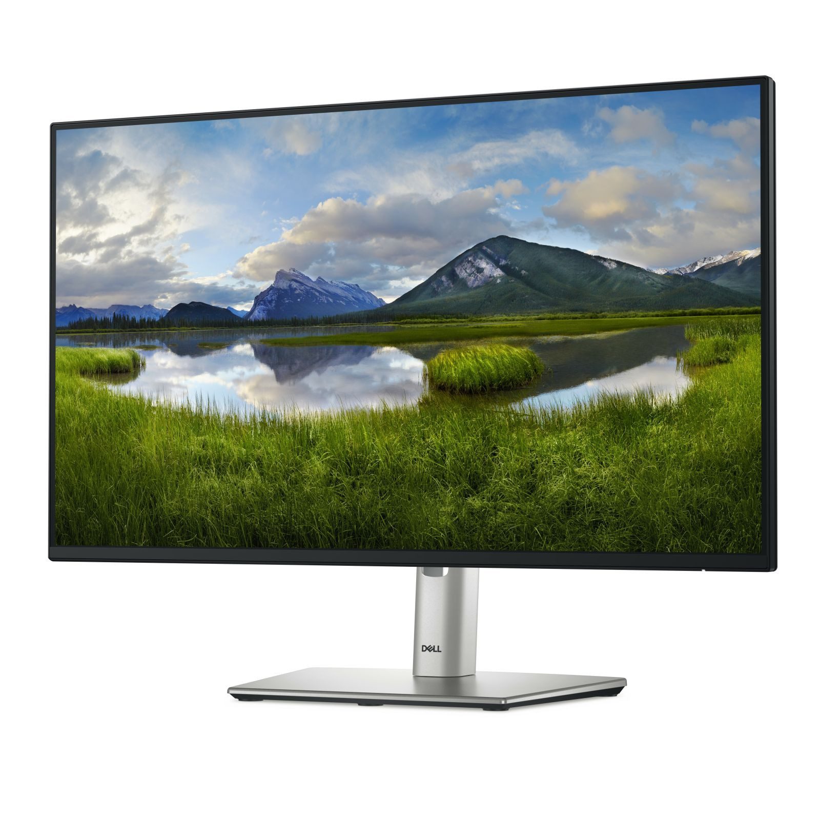 Dell TFT P2425H 23.8IN IPS ANTI-GLAR 1920X1080 16:9 DP HDMI VGA USB TFT-Monitor (1920 x 1080 px, Full HD, 8 ms Reaktionszeit, 100 Hz, IPS, HDCP, Pivot, Höhenverstellbar)
