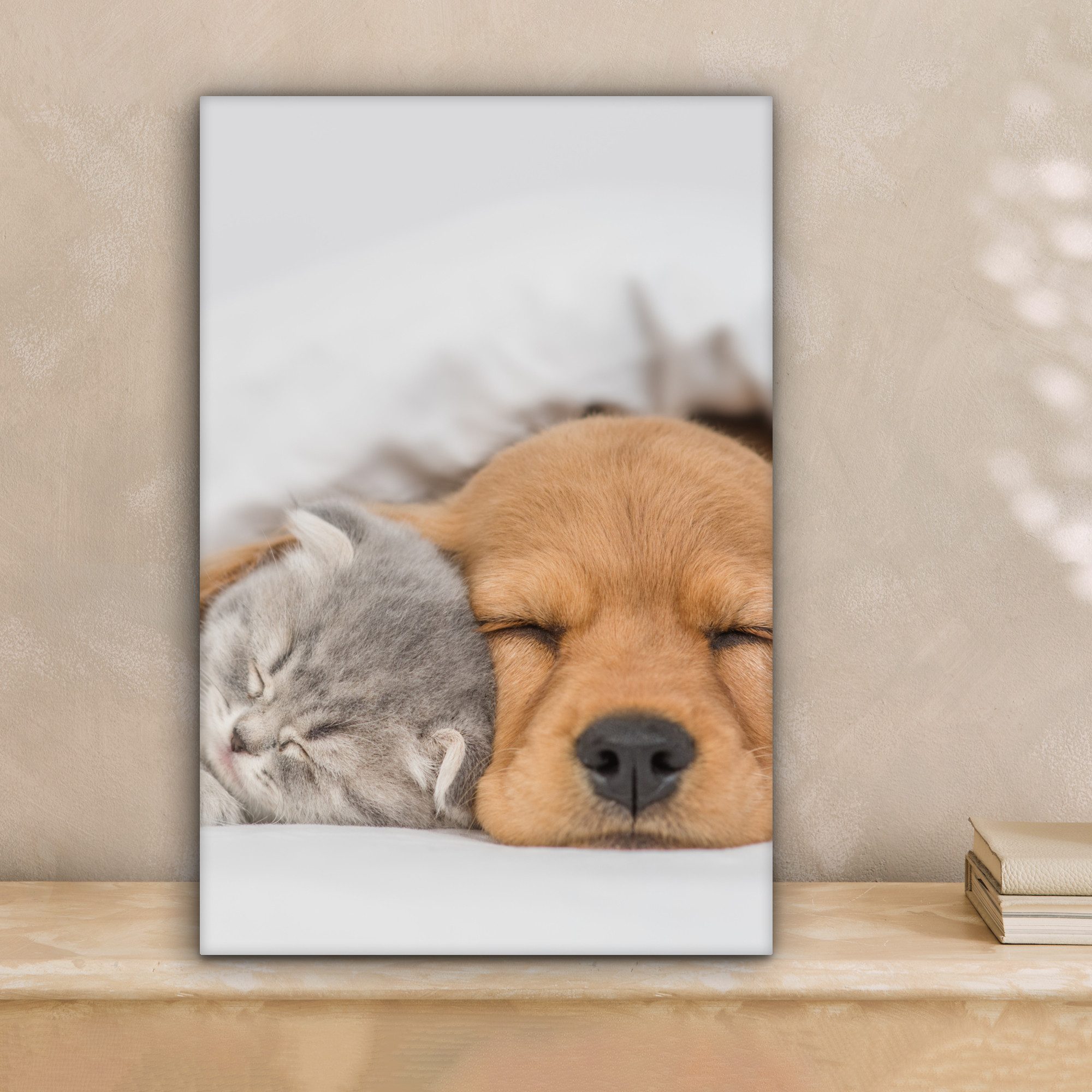 OneMillionCanvasses® Leinwandbild Haustiere - Hund - günstig online kaufen