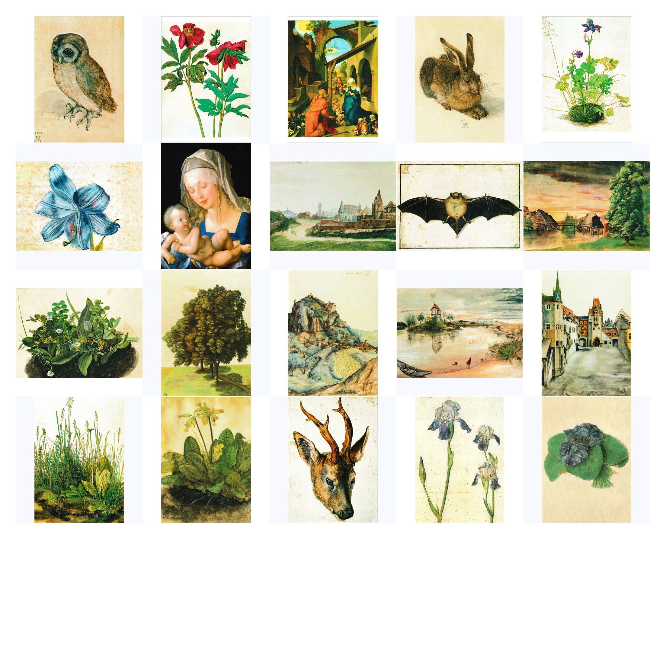 postkarten-universum.de Postkarte Kunstkarten-Topseller-Set Albrecht Dürer