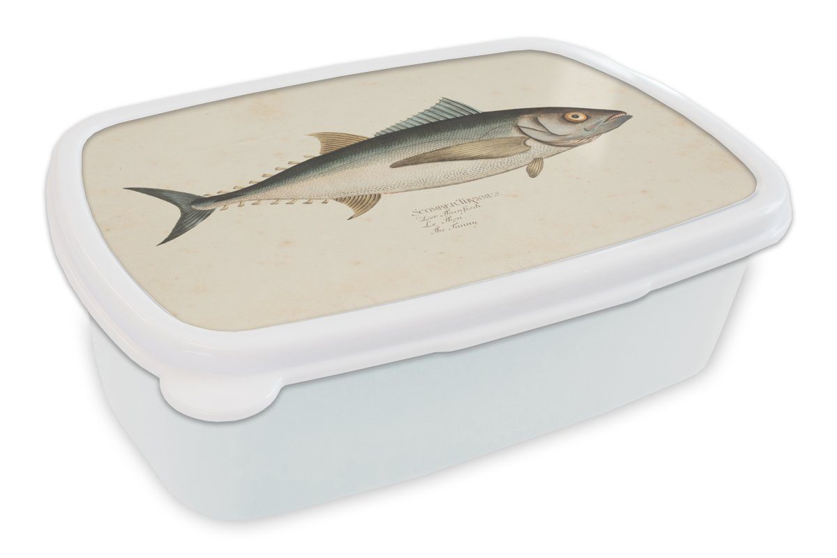 Jungs Lunchbox Kunststoff, weiß Brotdose, für Eine eines Fisches, Brotbox Illustration Kinder Mädchen für MuchoWow Erwachsene, und und (2-tlg), alte