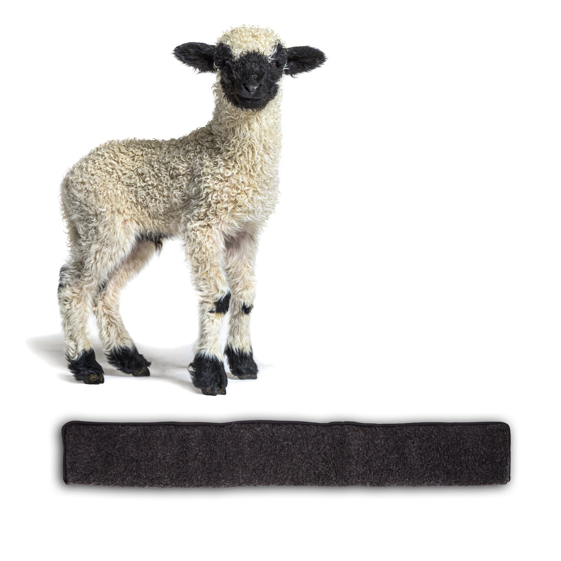 BigDean Виключення чернетки für Türen 80cm 100% Schurwolle Beige Luftzugstopper Made in Germany, Packung, 1-tlg., Виключення чернетки, Виключення чернетки, Pflegeleicht, Fenstger, Türen