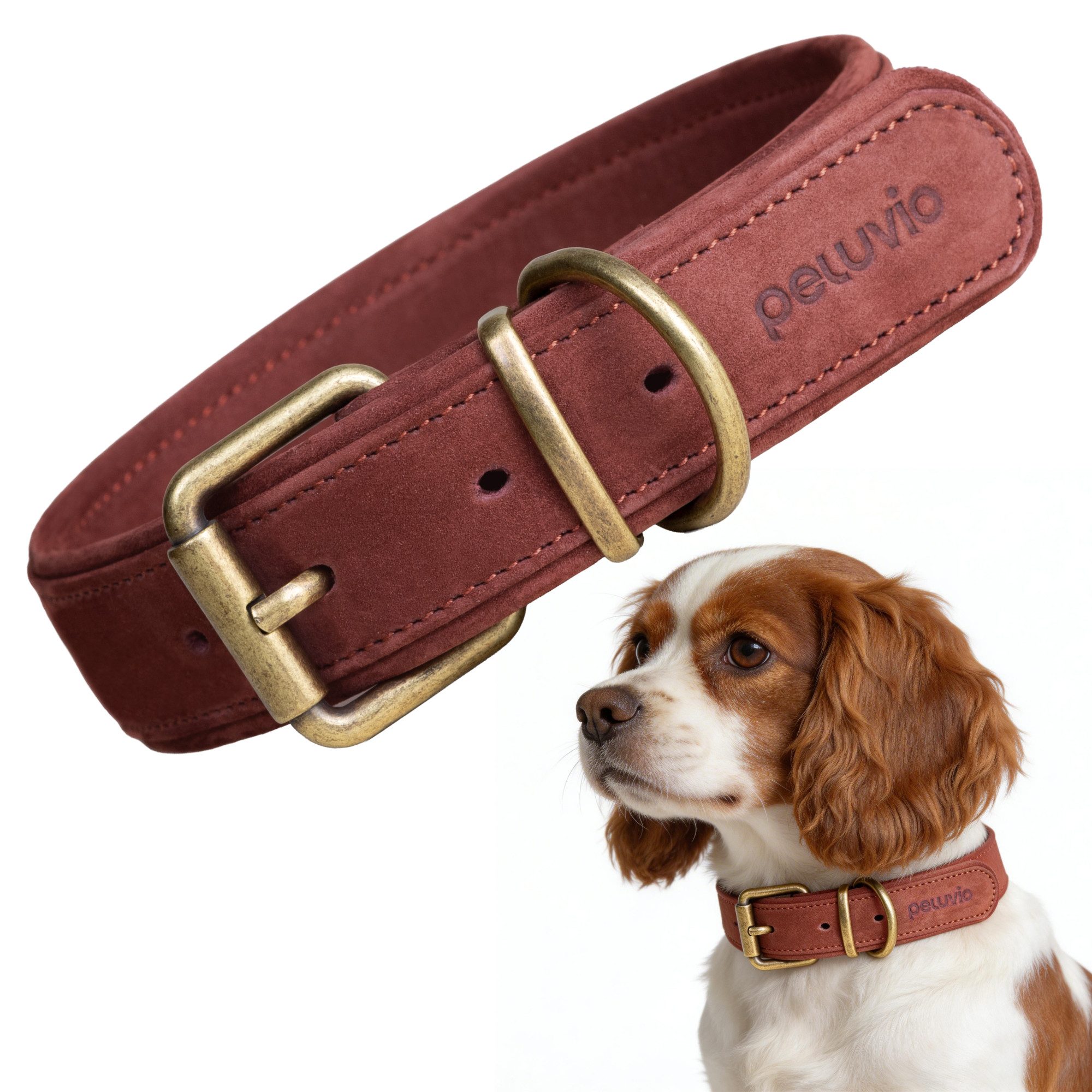lionelo Tier-Halsband REXOR für Hunde und Katzen, Rindsleder/Kupferbeschläge/verstellbar/hautfreundlich