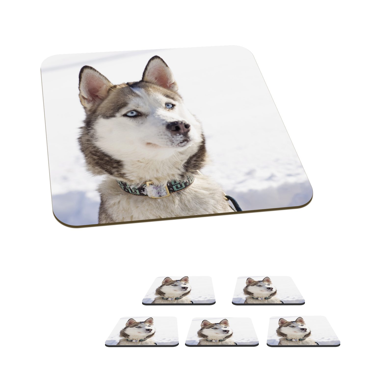 MuchoWow Glasuntersetzer Sibirischer Schlittenhund im Schnee, Zubehör für Gläser, 6-tlg., Glasuntersetzer, Tischuntersetzer, Korkuntersetzer, Untersetzer, Tasse