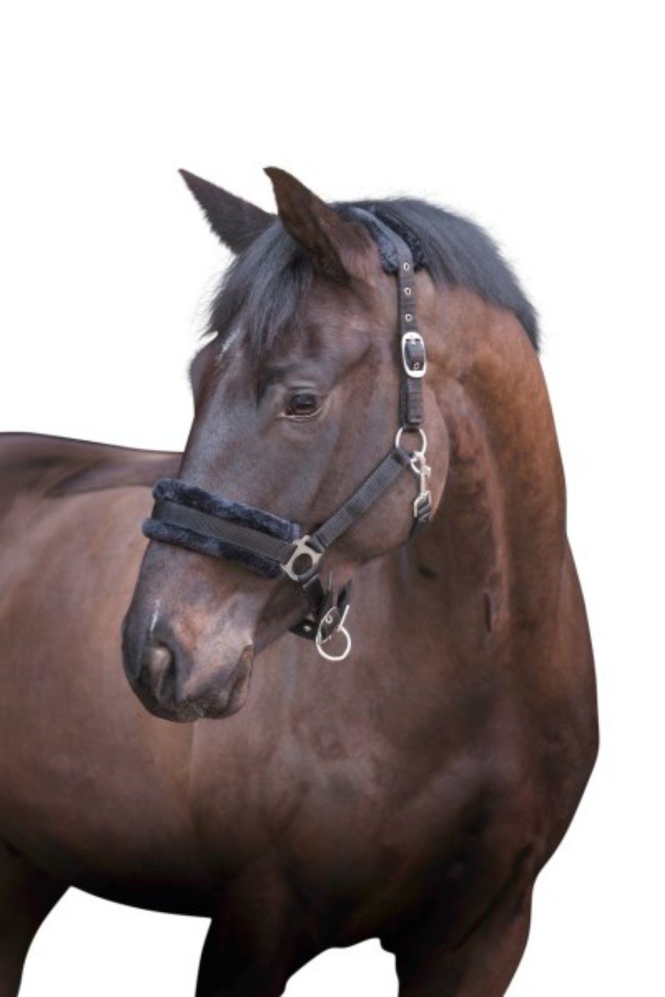 Halfter Halfter mit Webpelz Größe Full schwarz 328238