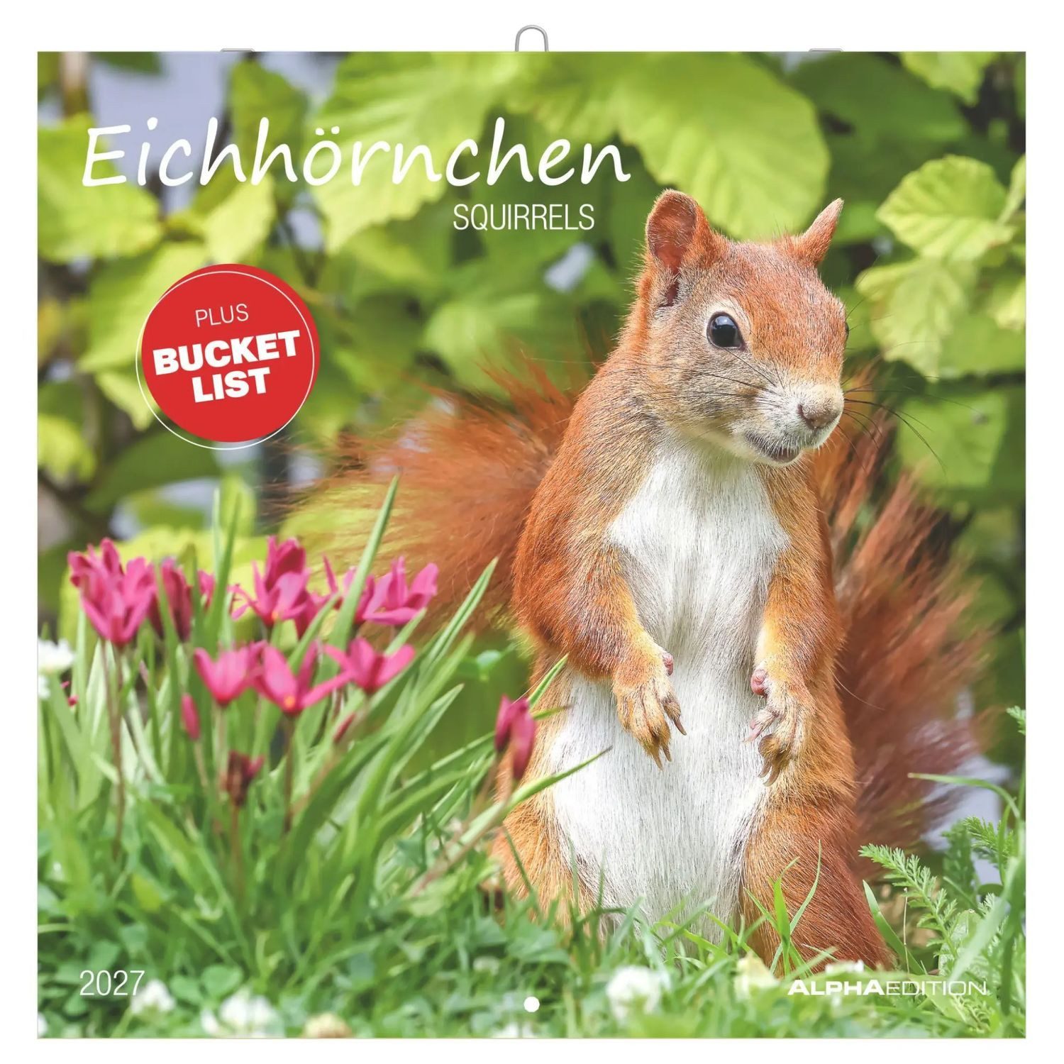 NEUMANN Wandkalender Eichhörnchen 2027