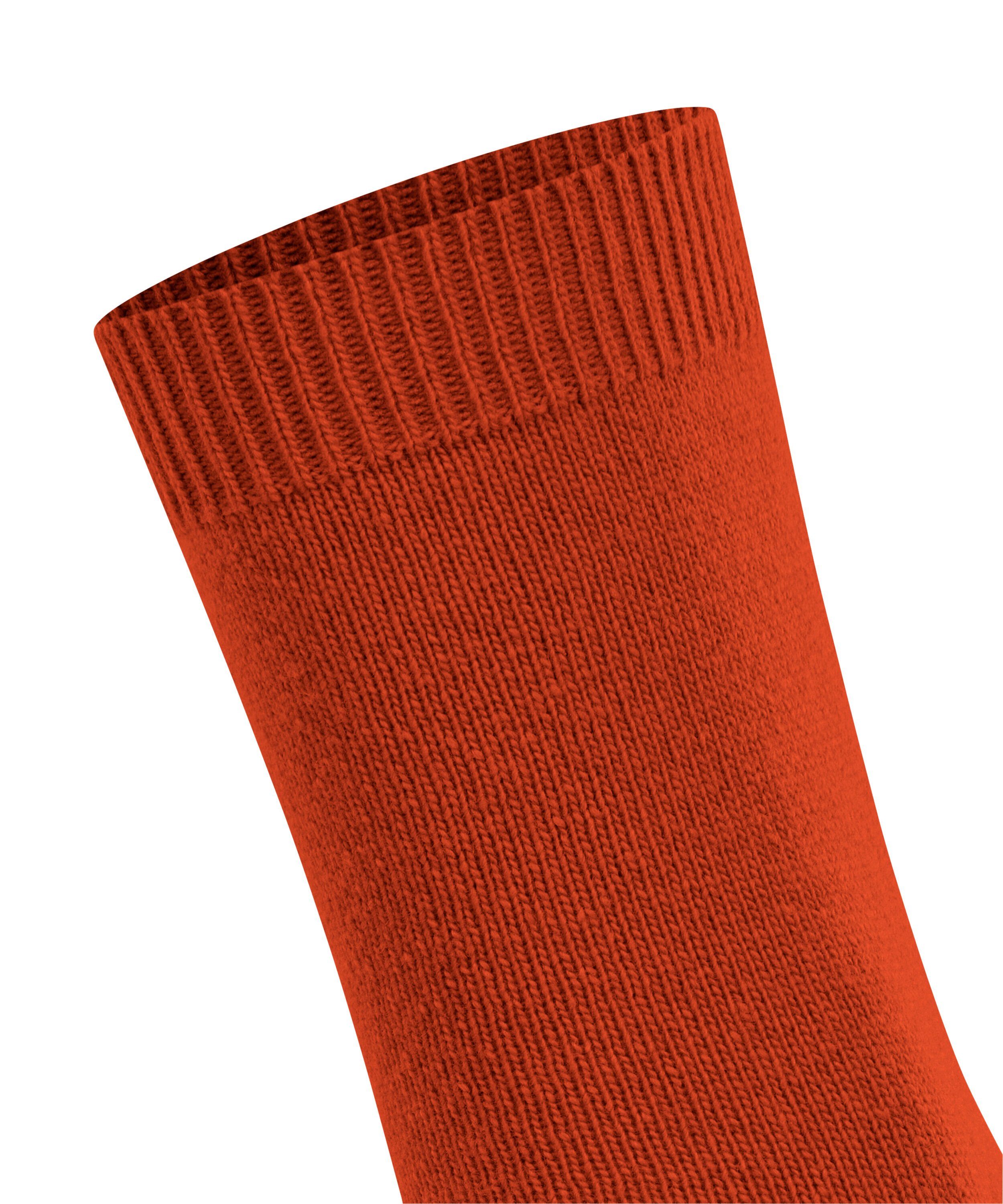 (8095) ziegel Socken FALKE (1-Paar) Wool Cosy