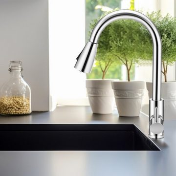 WILGOON Küchenarmatur Edelstahl Hochdruckhahn Ausziehbar Küchenarmatur mit 360° schwenkbar Wasserhahn Küche mit Hohe Bogenauslauf Spültischarmatur
