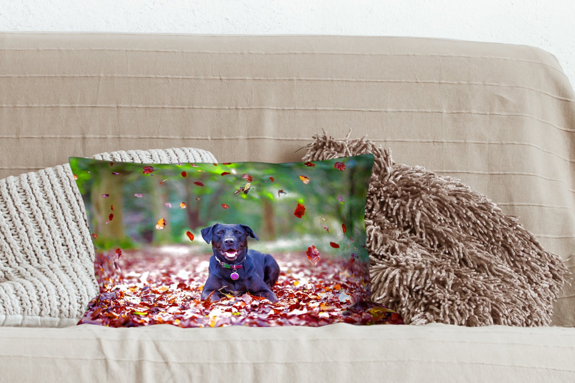 Schlafzimmer Labrador mit zwischen Retriever Wohzimmer Schwarzer Dekoration, schönen Dekokissen Herbstblättern Dekokissen liegend, MuchoWow Füllung, Zierkissen,